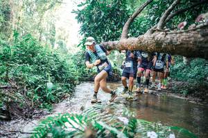 BIB: 
                            <button type="button" onclick="openModal(25468779)" class="btn btn-primary btn-sm float-right btn-popup" data-toggle="modal" data-target=".modal-high-quality">
                        <i class="fas fa-shopping-cart"></i> Add to Cart
                    </button>
                                            <button type="button" onclick="isThisMe(25468779, true)" class="btn btn-success btn-sm float-right btn-popup btn-isme hidden" data-toggle="tooltip" data-placement="bottom" title="นี่คือรูปของคุณใช่ไหม คลิกที่นี่เพื่อเอาเข้าอัลบั้ม">
                        <i class="fas fa-plus"></i> Add to album
                    </button>
                    <button type="button" onclick="isThisMe(25468779, false)" class="btn btn-warning btn-sm float-right btn-popup btn-isnotme hidden">
                        <i class="fas fa-ban"></i> Remove from album
                    </button>